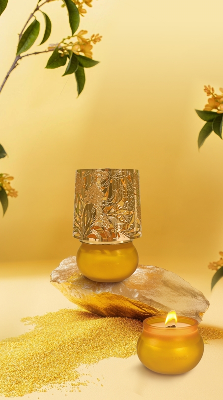 1730086540320544.png 產(chǎn)品2.png